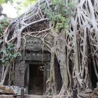 Королевство Камбоджия :: Твтьяна 