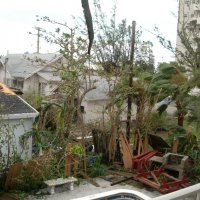 Наш двор после урагана. :: Владимир Смольников