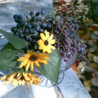 цветы и виноград :: салазкин владимир 