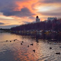 Семеновское озеро. :: kolin marsh