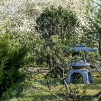 Японский сад :: Влад Селезнев