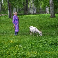 бабушка и коза :: Пётр Сидорович Иванов