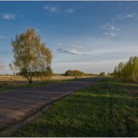 Пейзаж придорожный :: Сергей Бережко