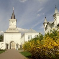 Жёлтая Акация в Подмосковном Николо Угрешском Монастыре города Дзержинский :: Ольга Кривых