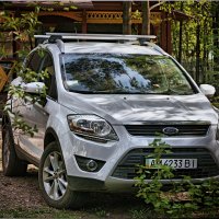 Ford Kuga под тенью деревьев :: Олег Каплун