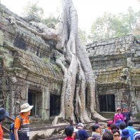 Храмовый комплекс Ангкорват Камбоджа :: Евгений Подложнюк