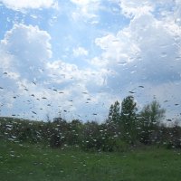 Дождь в мае :: Natali 