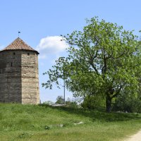 Девичья башня Аккерманской крепости :: Zinaida Belaniuk