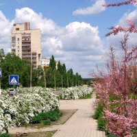 Мой городок... :: Сергей Петров