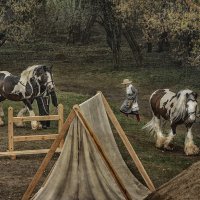 Воля. Вера. Жизнь. Надежда. :: Ирина Данилова