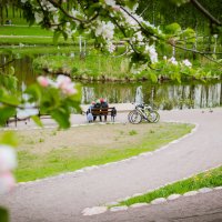 весна и велосипеды... :: Майя Афзаал