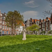 Tulips in Holland 04-2015 Amsterdam 3 :: Arturs Ancans