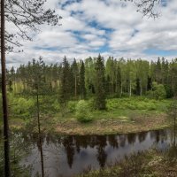 Типичный Латвийский пейзаж :: Jevgenija St