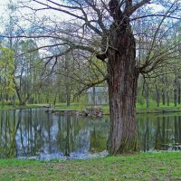 Царское село. Александровский парк :: alemigun 