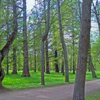 Царское село. Александровский парк. :: alemigun 