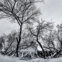 Зима :: Nn semonov_nn