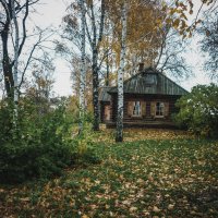Одинокий домик :: Olga Photo