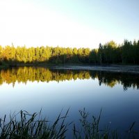 Закат в парке Сосновка :: Алексей Корнеев