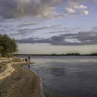 Берег реки Лиелупе :: Gennadiy Karasev