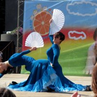 Зажигательный танец фламенко :: Нина Бутко