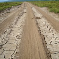 Засуха на севере Камчатки :: Татьяна Панова