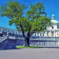 Часть дворца с деревом :: Valerii Ivanov