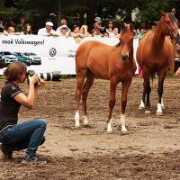 Фоторепортер :: Леонид Сергиенко