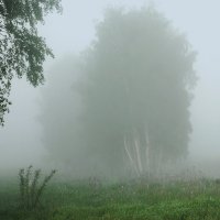Туман :: sergej-smv 