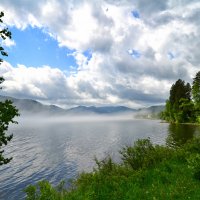Туман на озере :: Елена Шевелева 