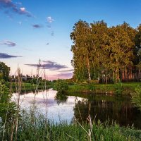 Лето,вечер. :: Александр Тулупов