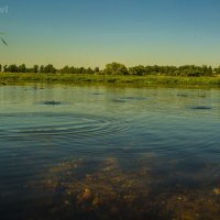 Лето у реки Остёр :: Павел Данилевский