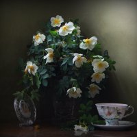 Белый шиповник, дикий шиповник краше садовых роз... :: Natali K