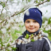 В цвете вишни :: Oleg 