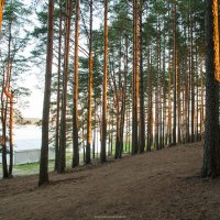 Лучи рассвета :: Евгения Сарандаева