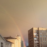 После дождя :: Светлана 
