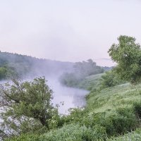 Туманное утро :: Денис Щербак