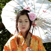 Японские мотивы :: Анастасия Скляр