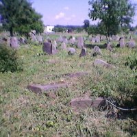 Еврейское кладбище :: Миша Любчик