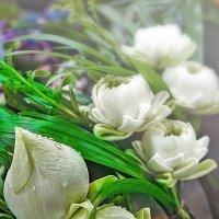Какие-то тайские цветы :: Евгений Подложнюк