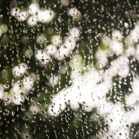 Дождь :: Екатерина Бильдер
