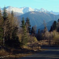 Дорога в горы :: Юлия Бабитко