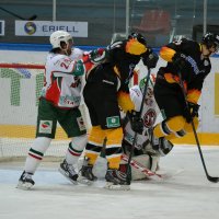 хоккей :: Светлана Пантелеева