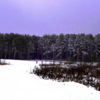 Зима :: Ирина Кочкарева
