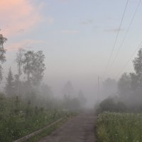 туман :: Нина Алексеева 