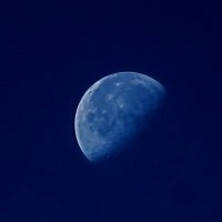 Соната голубой луны :: Ольга Голубева