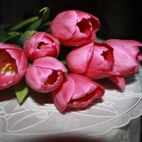 Тюльпаны :: Наталия Павлова