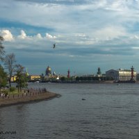 Санкт-Петербург :: Дмитрий Рожков
