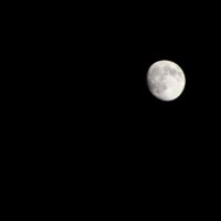 Луна в южном полушарии :: Ирина Никифорова