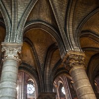 Paris. Notre Dame. :: Олег Oleg