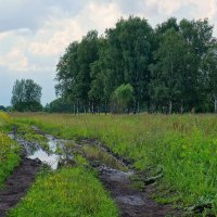 Где то в средней полосе... :: марк 